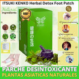 Parche Detox©