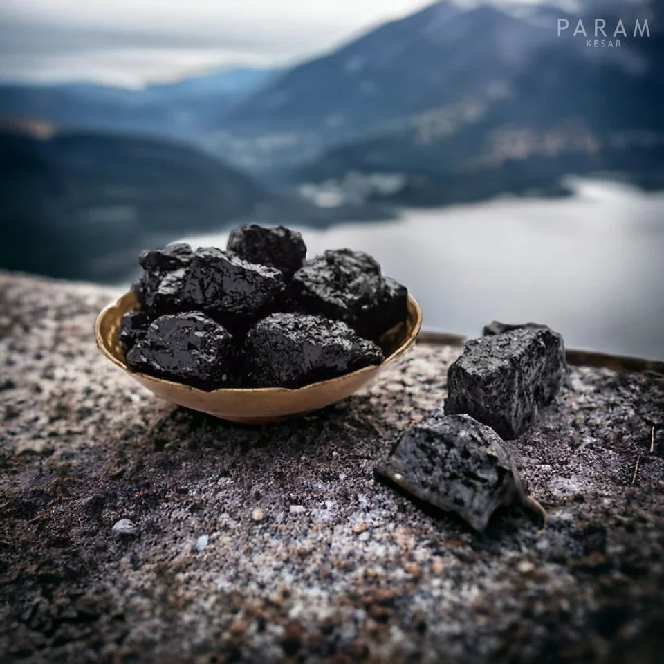 SHILAJIT - IMPORTADO© 100% Puro 💎 Fuente de Energía Vital del Himalaya